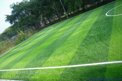 草坪地板·草坪地毯·地胶·人造草坪销售·铺装维修·质优价廉