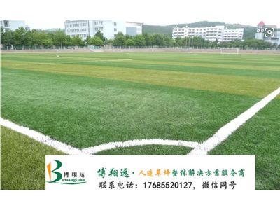 销售足球场人造草坪(案例分享:普洱